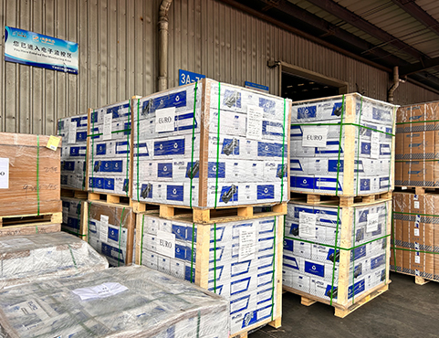 imagem de história de sucesso-4