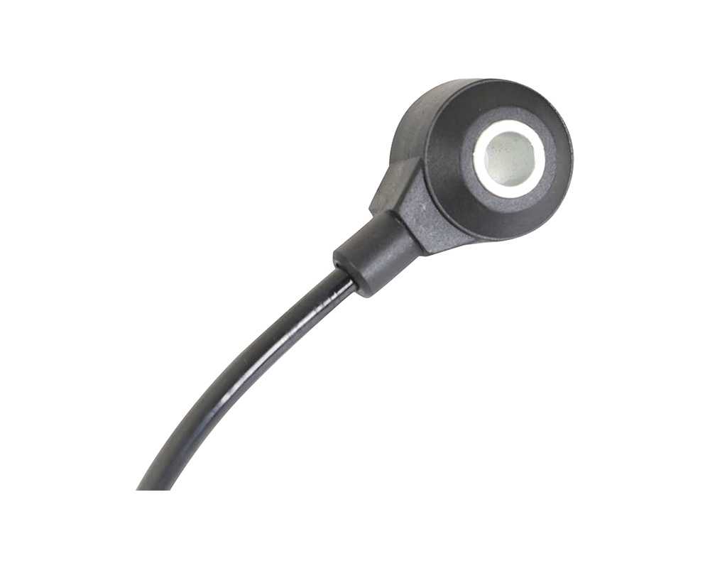 Sensor de detonação - 22060AA150